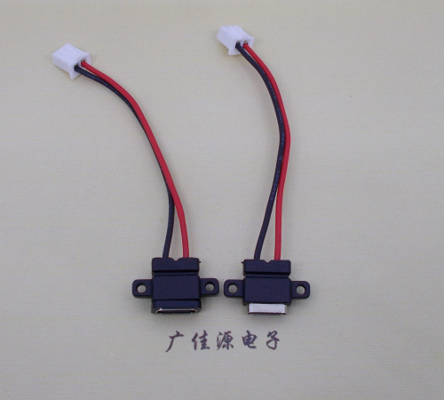 增城简易type c2p防水母座注塑成型带双螺丝孔焊线式带线带接线端子单充电功能
